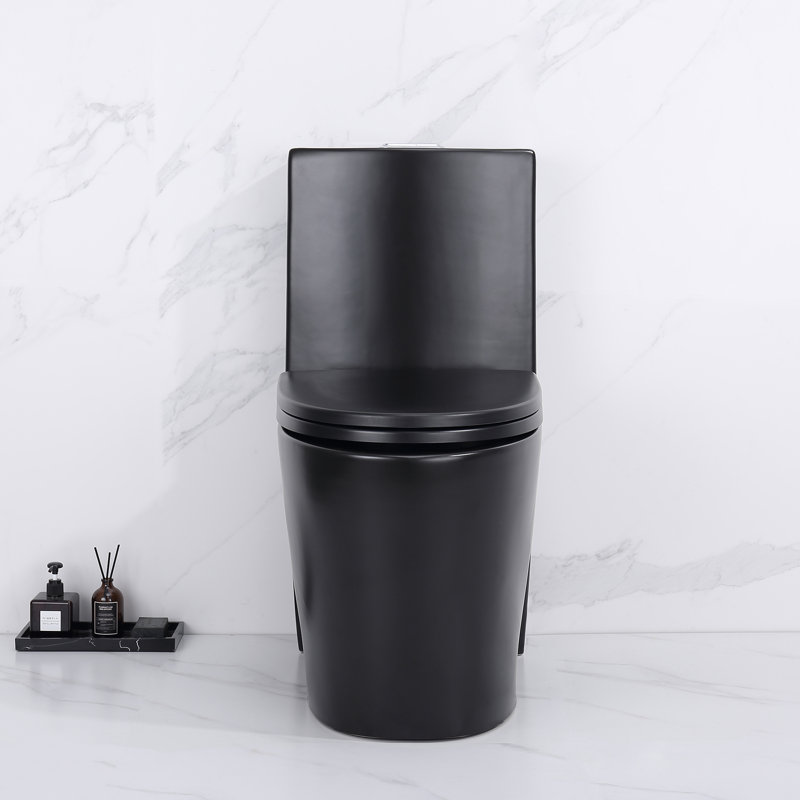 Clovis Goods Color DualFlush Elongated OnePiece Toilet (Seat Included